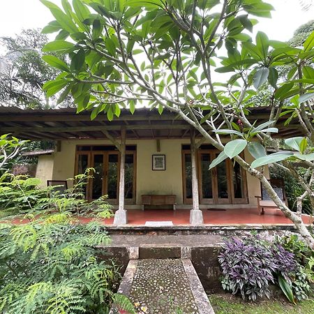 Carik Tangis Boutique Homestay Jatiluwih Eksteriør billede