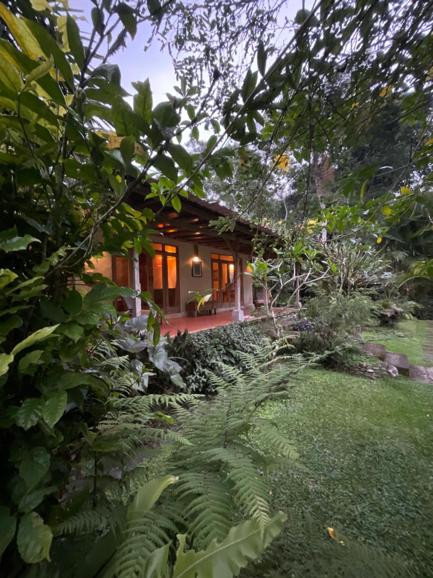 Carik Tangis Boutique Homestay Jatiluwih Eksteriør billede