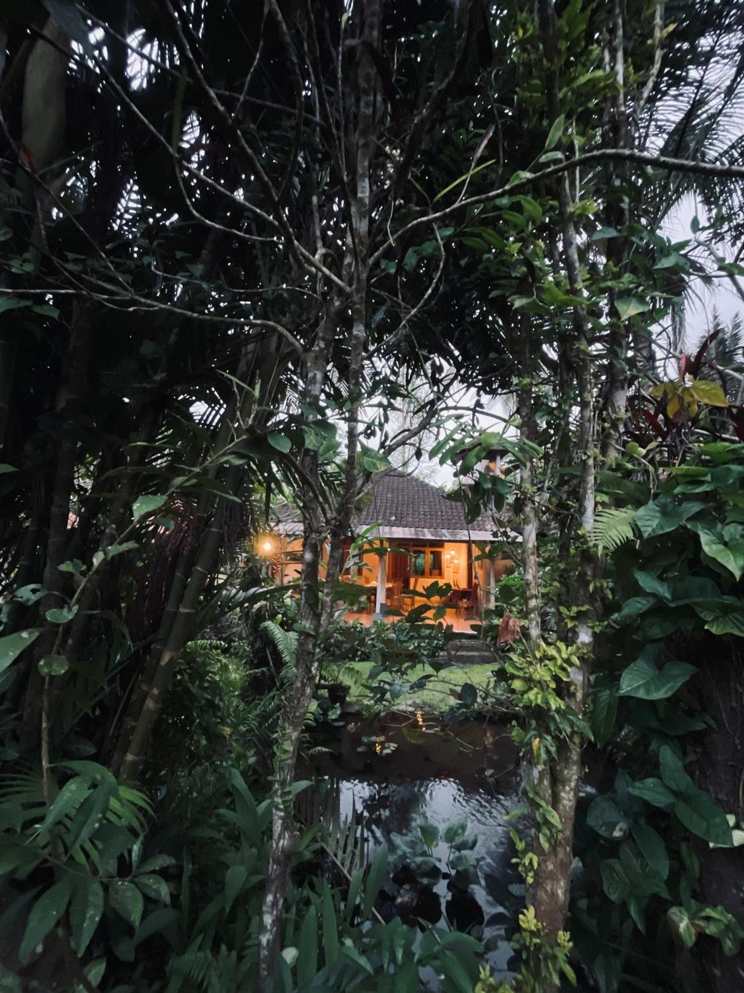 Carik Tangis Boutique Homestay Jatiluwih Eksteriør billede
